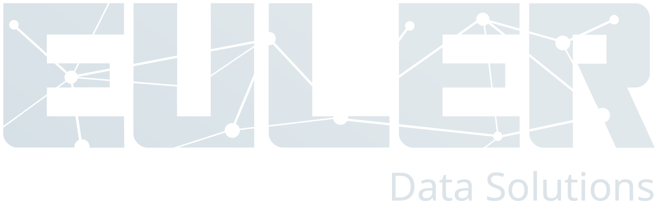 Euler Data Solutions Logo - White Gradient